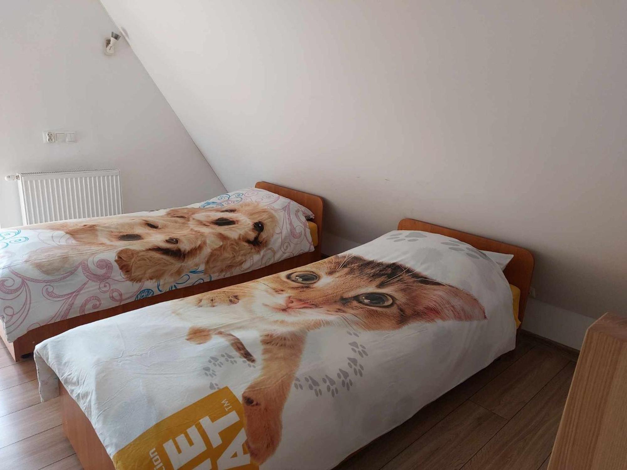 Apartment Cede Zakopane